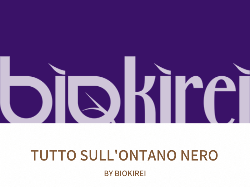 Ontano nero: tutti i benefici di questa pianta