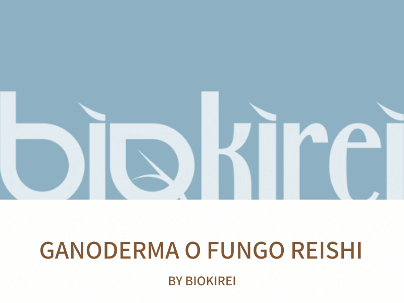 Ganoderma o Fungo Reishi: il fungo 'dell'immortalità'